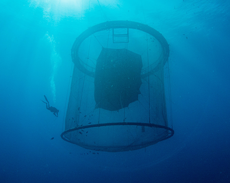 The significance of deep-water liftable anti wind and wave cage