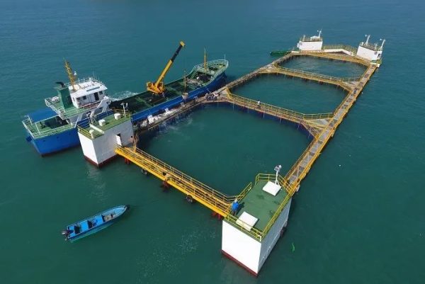 Summary of China’s top ten deep sea intelligent aquaculture equipment platforms-4