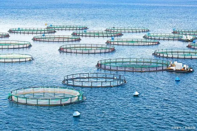 What is the difference between traditional mariculture cages and Haosail supper clear copper alloy net cage?