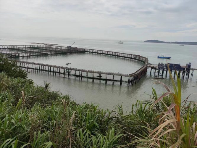 Haosail copper alloy net for aquaculturing yellow croaker in Dachen Island