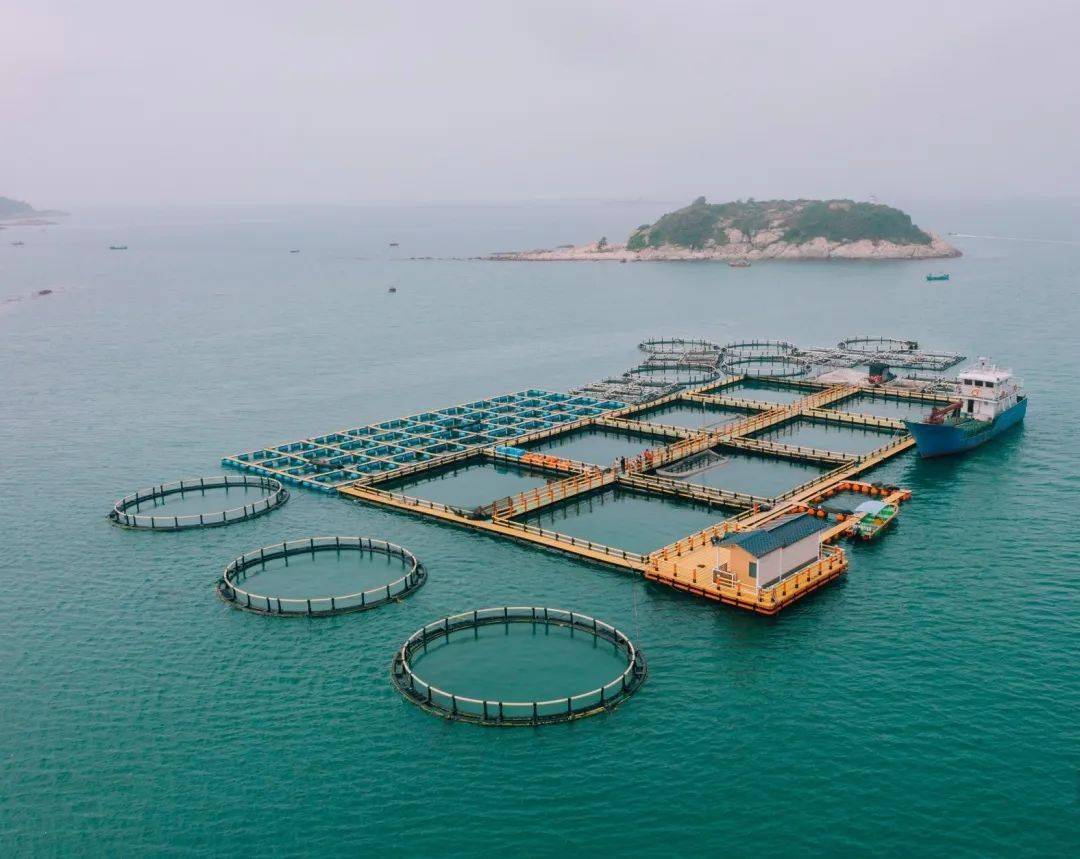 How the copper alloy net improve the fish health?