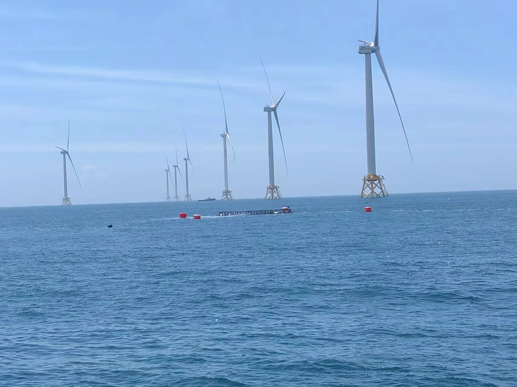 Marine aquaculture project of Fujian Zhangpu Liuao Offshore Wind Farm by Three Gorges Group