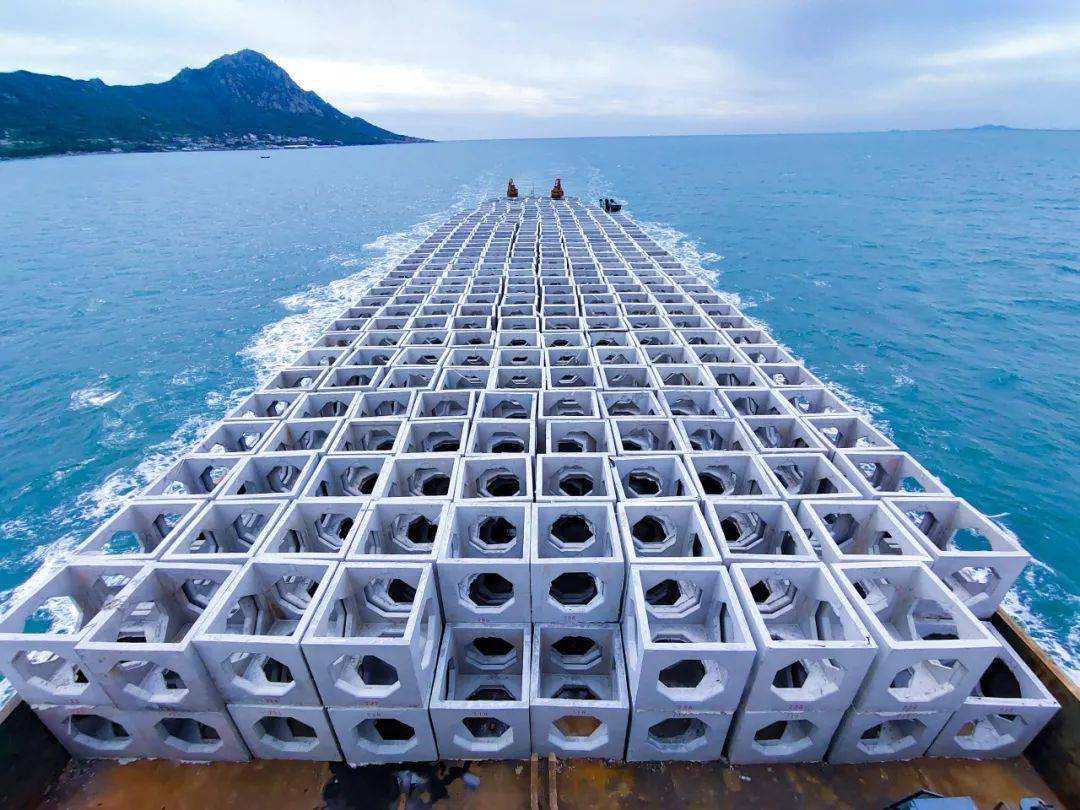 Introduction and advantage of artificial reefs