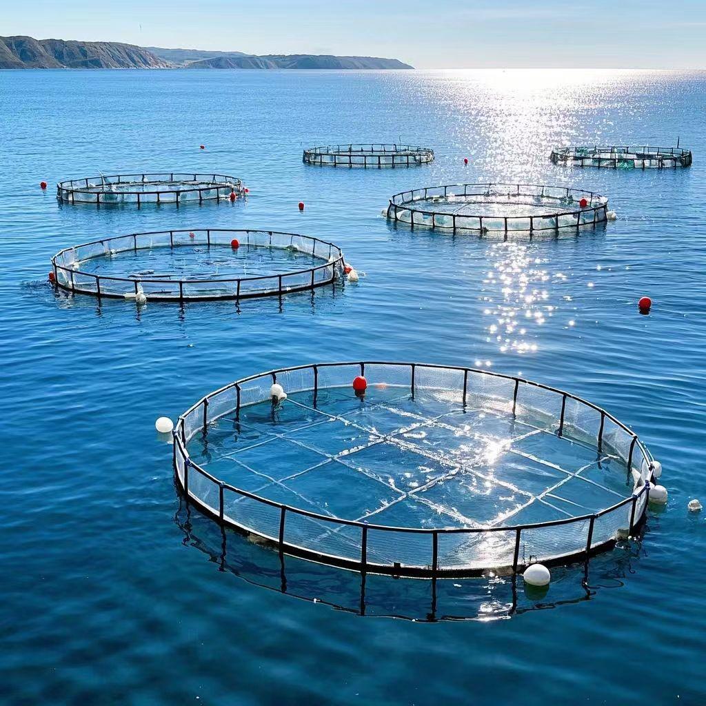 Development of Deep-sea Aquaculture Cage Technology